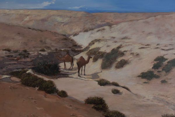 Camels at Rumaitha Wadi,  1983, Oil on canvas, 100 x 120 cm